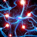 Understanding Hypersensitivity to Pain Signals
